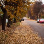 a road with cars on it and trees on the side