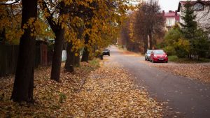 a road with cars on it and trees on the side